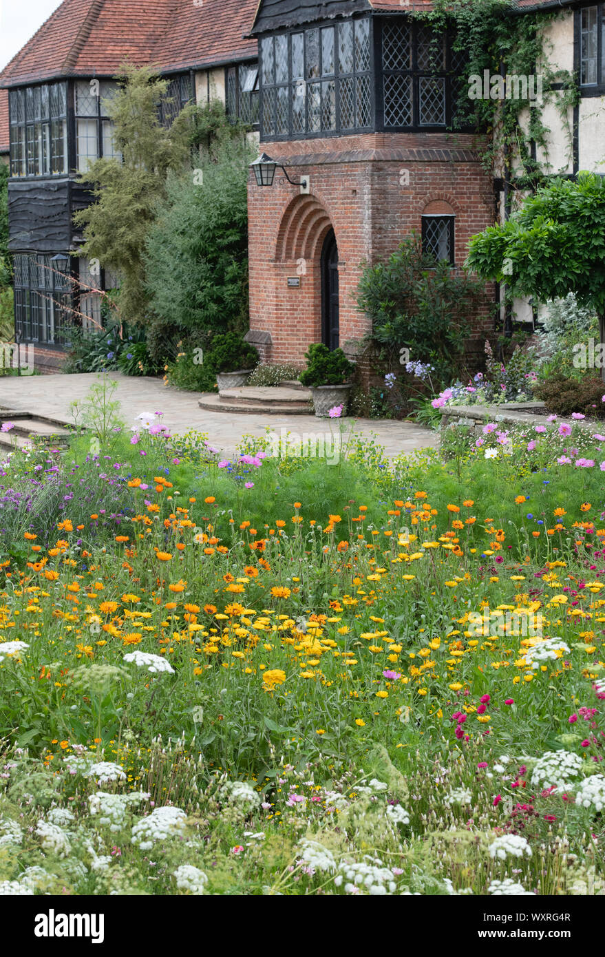 Plantados wildflower jardín en frente del laboratorio en RHS Wisley Gardens. Surrey. Inglaterra Foto de stock
