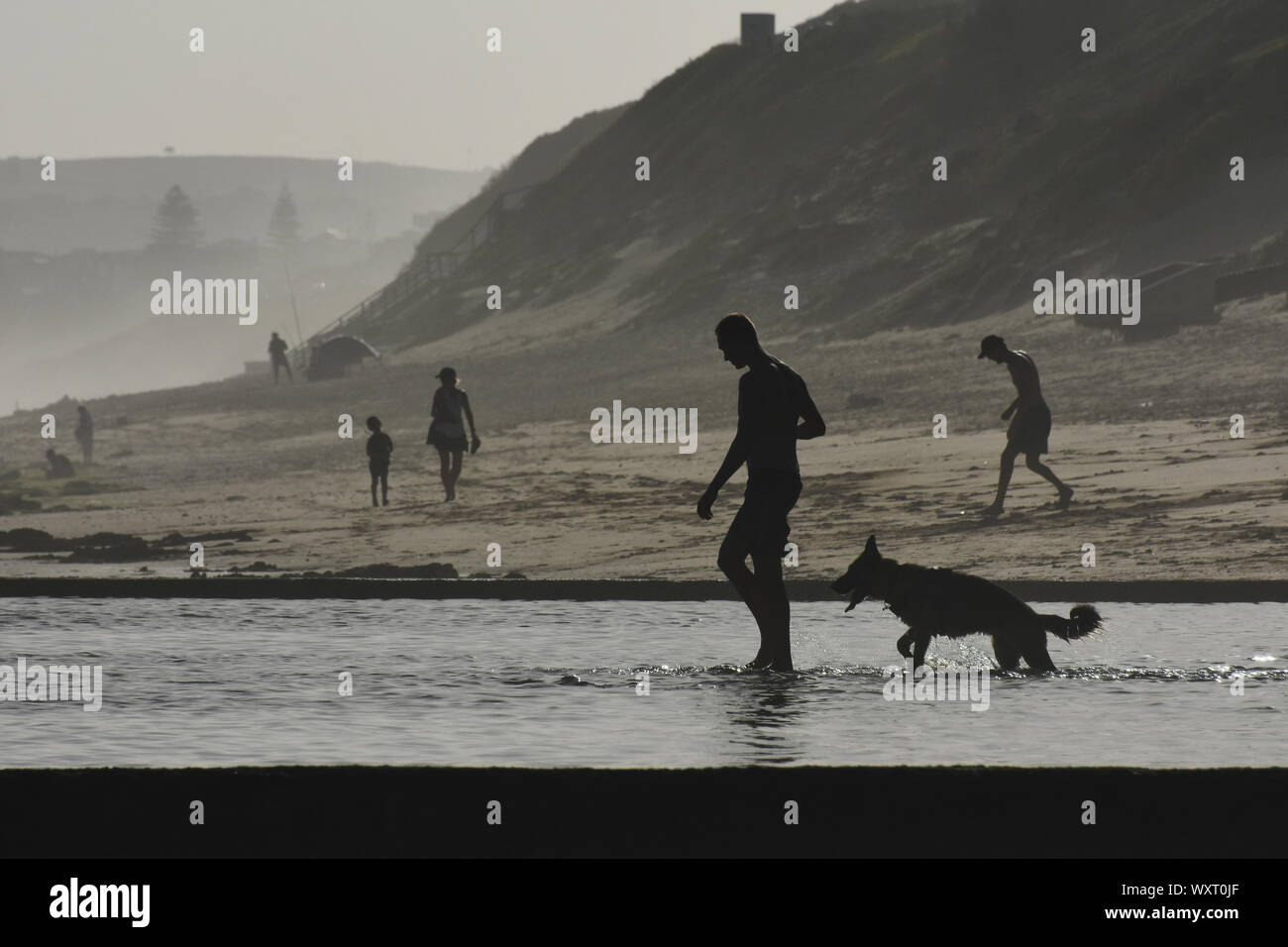 Hombre y el perro en la playa en verano, piscina de marea Foto de stock