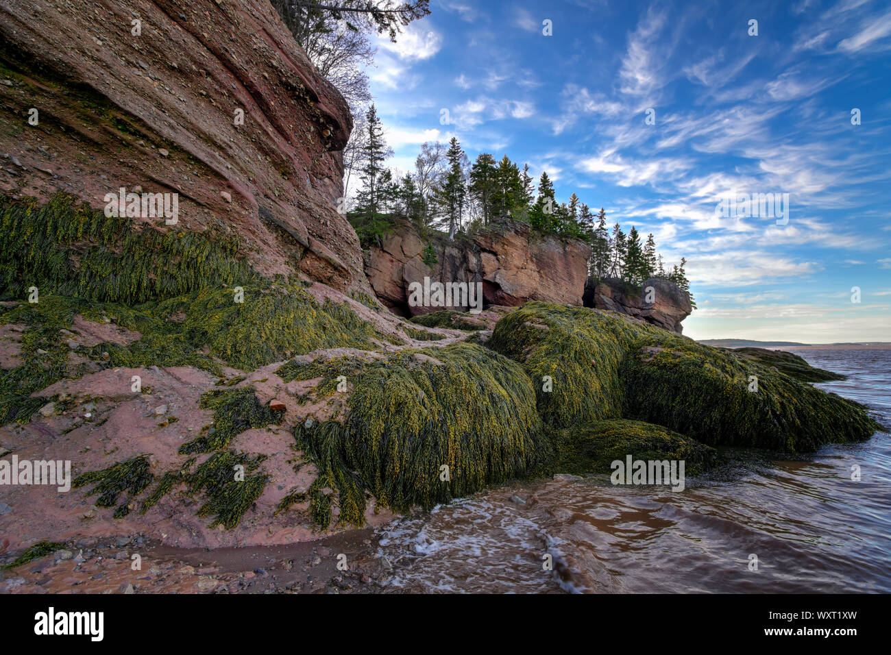 Macetas, Hopewell Rocks, New Brunswick, Canadá Foto de stock