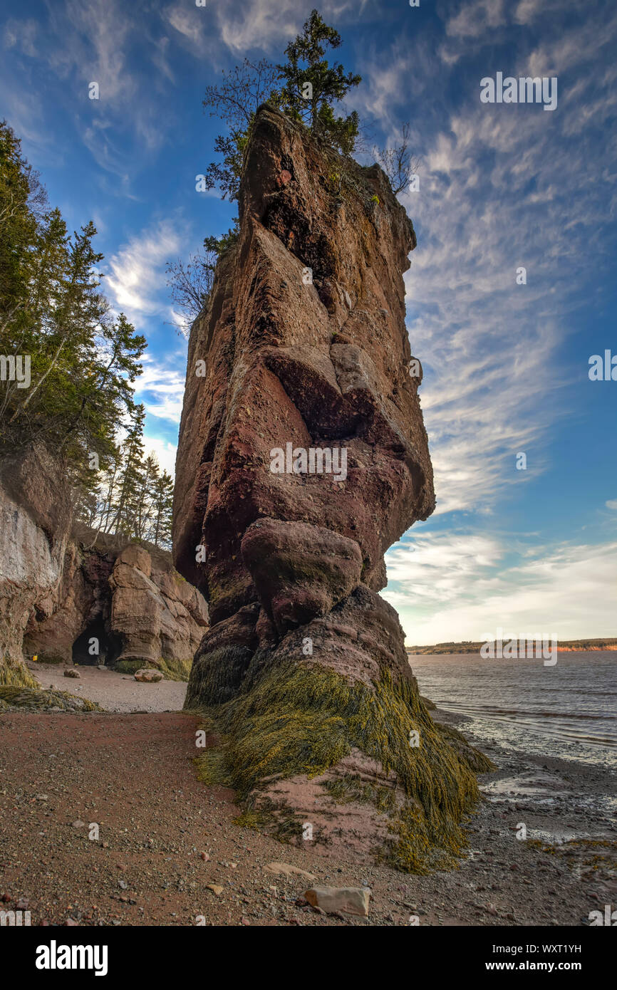 Macetas, Hopewell Rocks, New Brunswick, Canadá Foto de stock