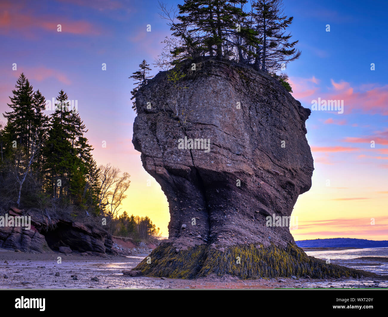 Macetas, Hopewell Rocks, New Brunswick, Canadá Foto de stock