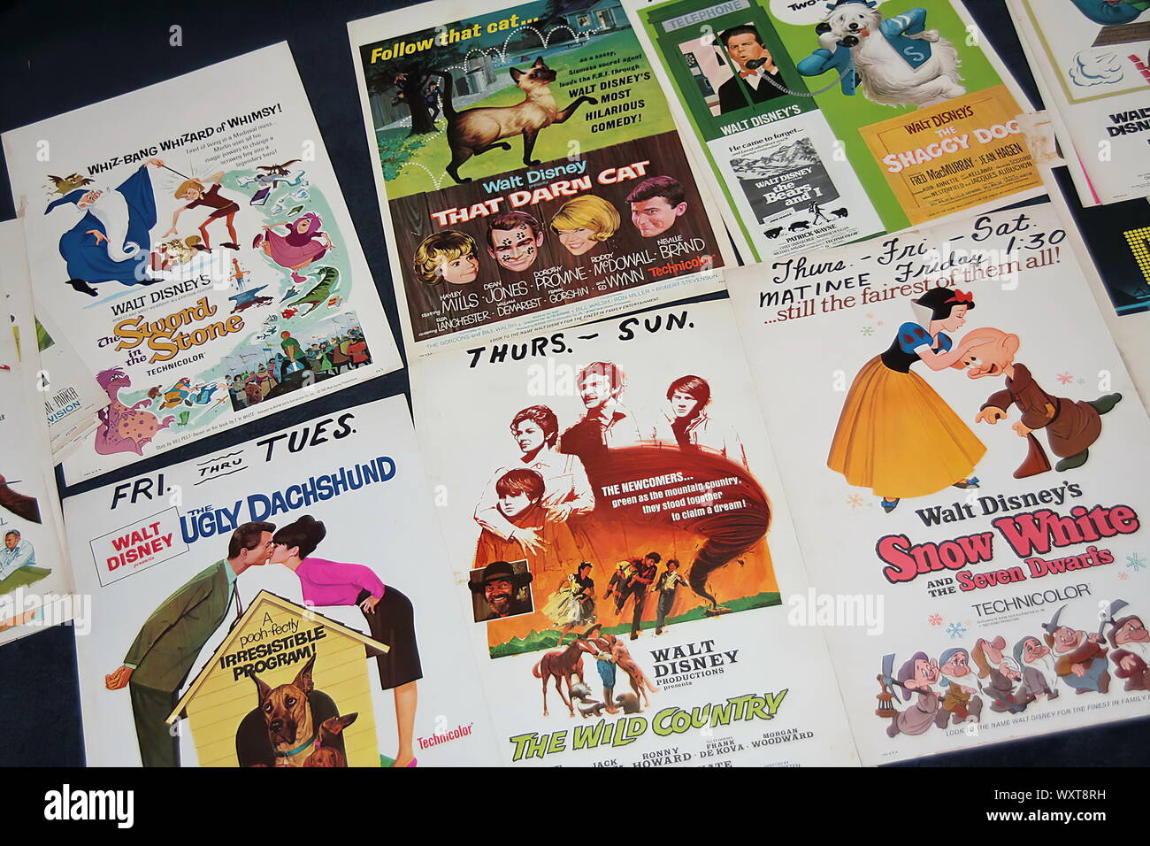 Póster de película clásica de 1960 muchas películas de la familia de