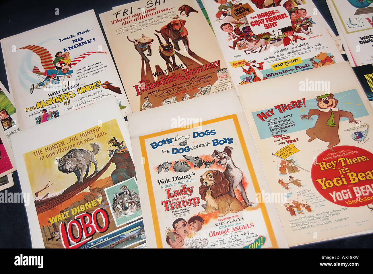 Póster de película clásica de 1960 muchas películas de la familia de