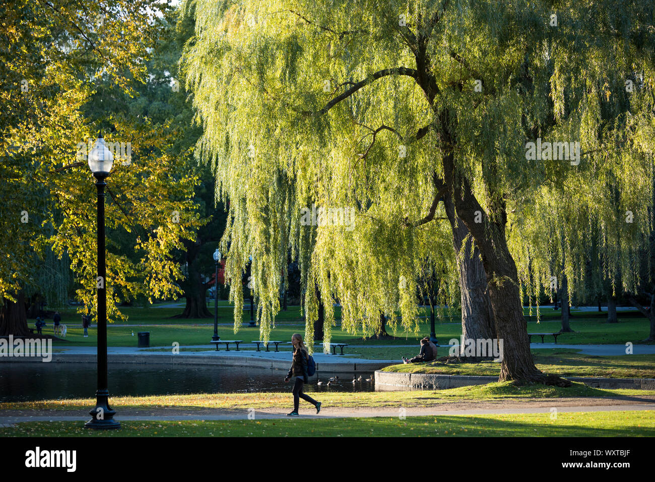 Personas disfrutando del jardín público de Boston, Massachusetts, EE.UU. Foto de stock