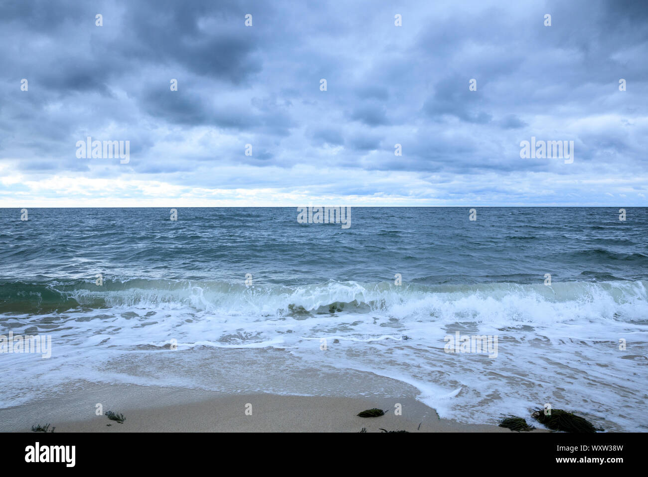 Con vistas a Nantucket Sound, el Océano Atlántico, a orillas Harding, en Cape Cod, Nueva Inglaterra, EE.UU. Foto de stock
