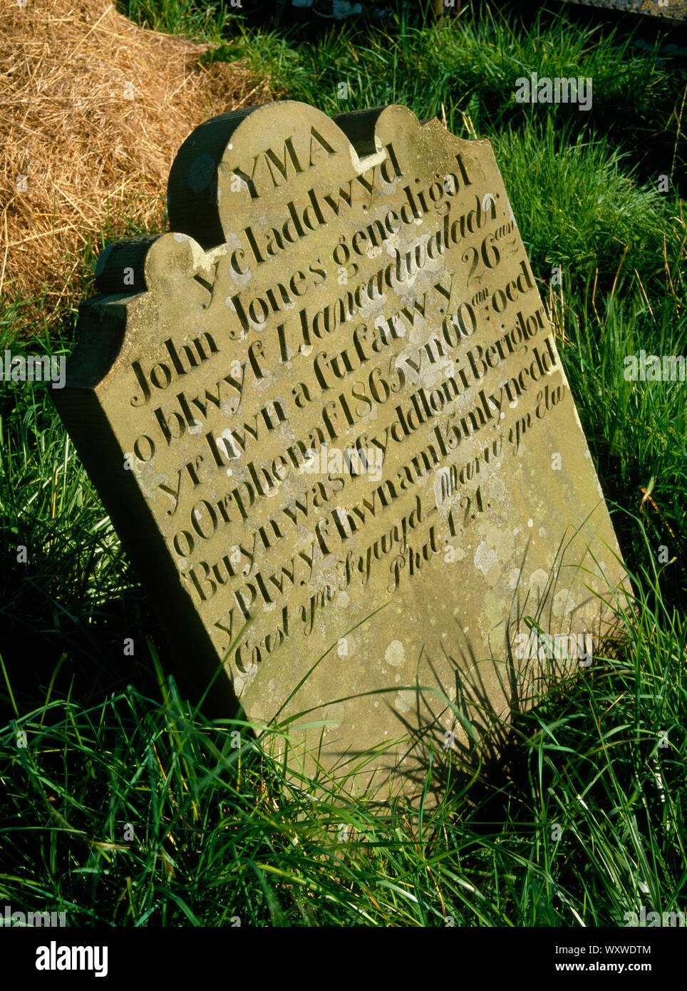 Lápida a John Jones, d.1865, St Mary's Church, Gwaenysgor, Gales. Inscripción galesa. Foto de stock