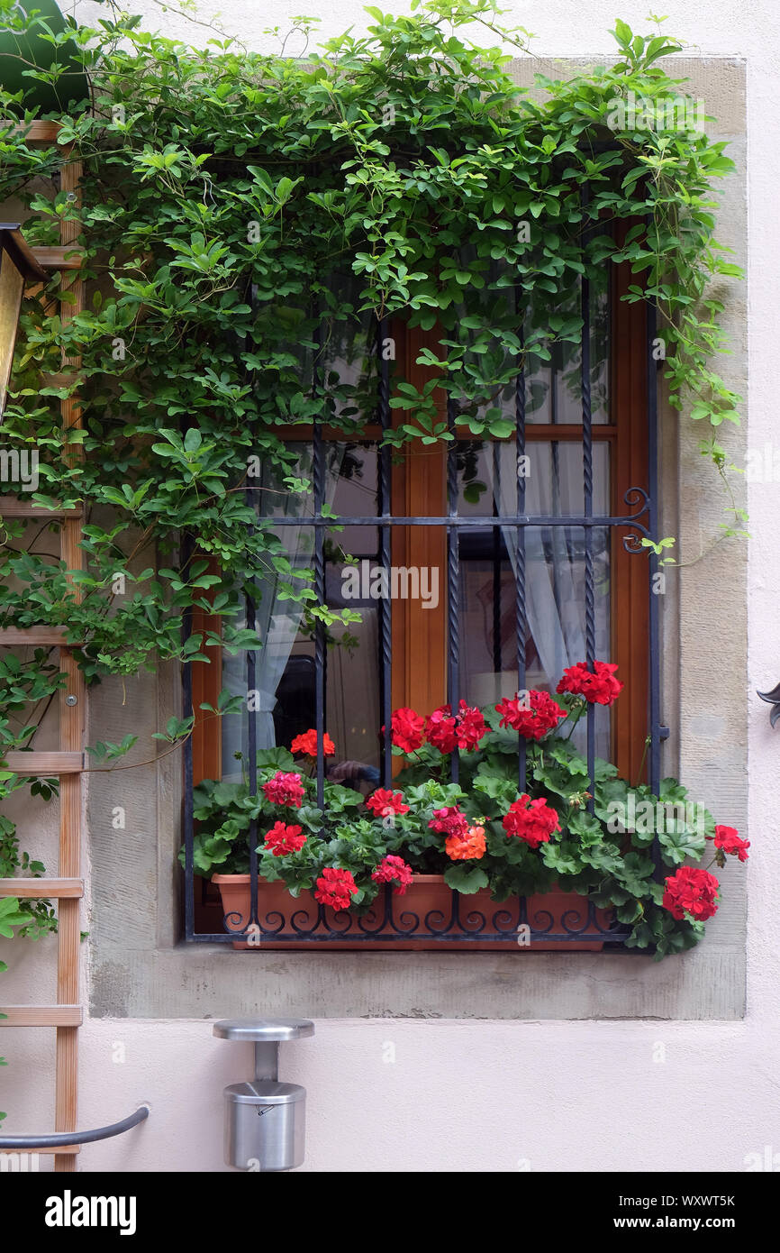 Ventana con cuadro de flores en Rothenburg ob der Tauber, Middle Franconia, Baviera, Alemania Foto de stock