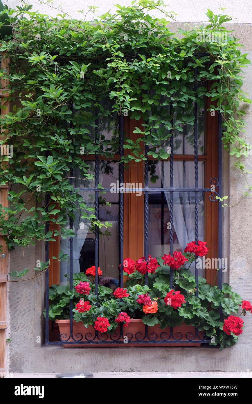 Ventana con cuadro de flores en Rothenburg ob der Tauber, Middle Franconia, Baviera, Alemania Foto de stock