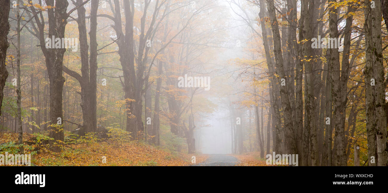 Misty carretera vacía en el otoño de Vermont, Nueva Inglaterra, EE.UU. Foto de stock
