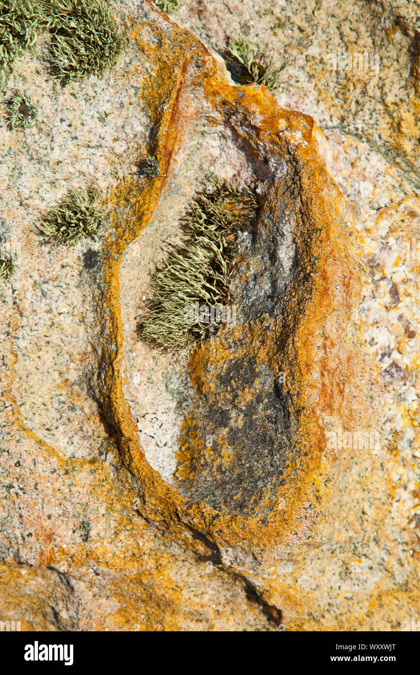 Granito y líquenes (Granit y líquenes). Lag Leatha Ma. Al suroeste de la isla de Lewis. Outer Hebrides. Escocia, Reino Unido Foto de stock