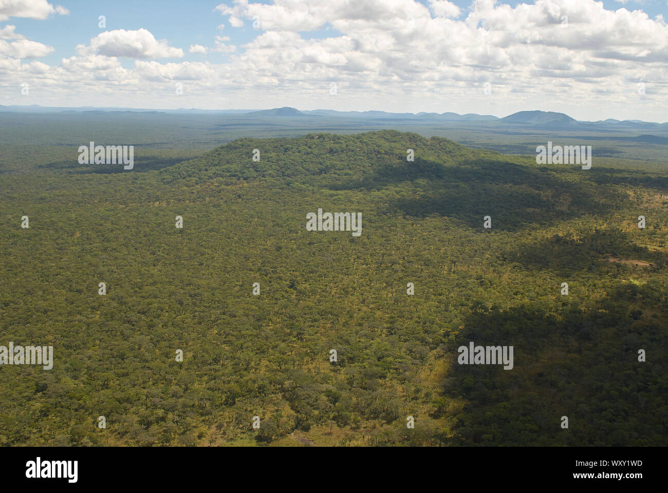 Desierto de remotos bosques de Tanzania Foto de stock