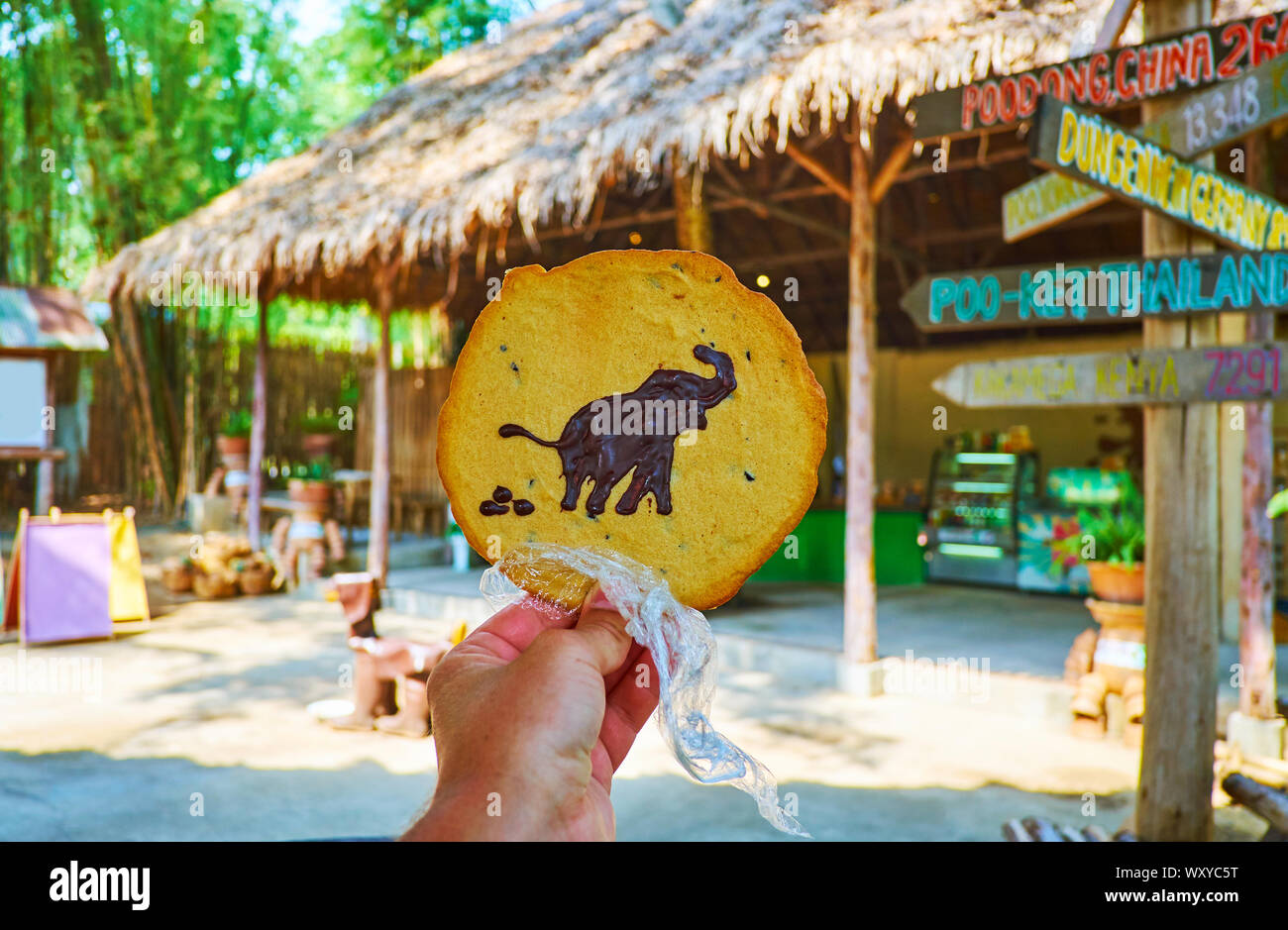 Disfrute de las sabrosas galletas con chispas de chocolate artesanal los elefantes en la cafetería al aire libre del parque Poopoopaper, Chiang Mai, Tailandia Foto de stock