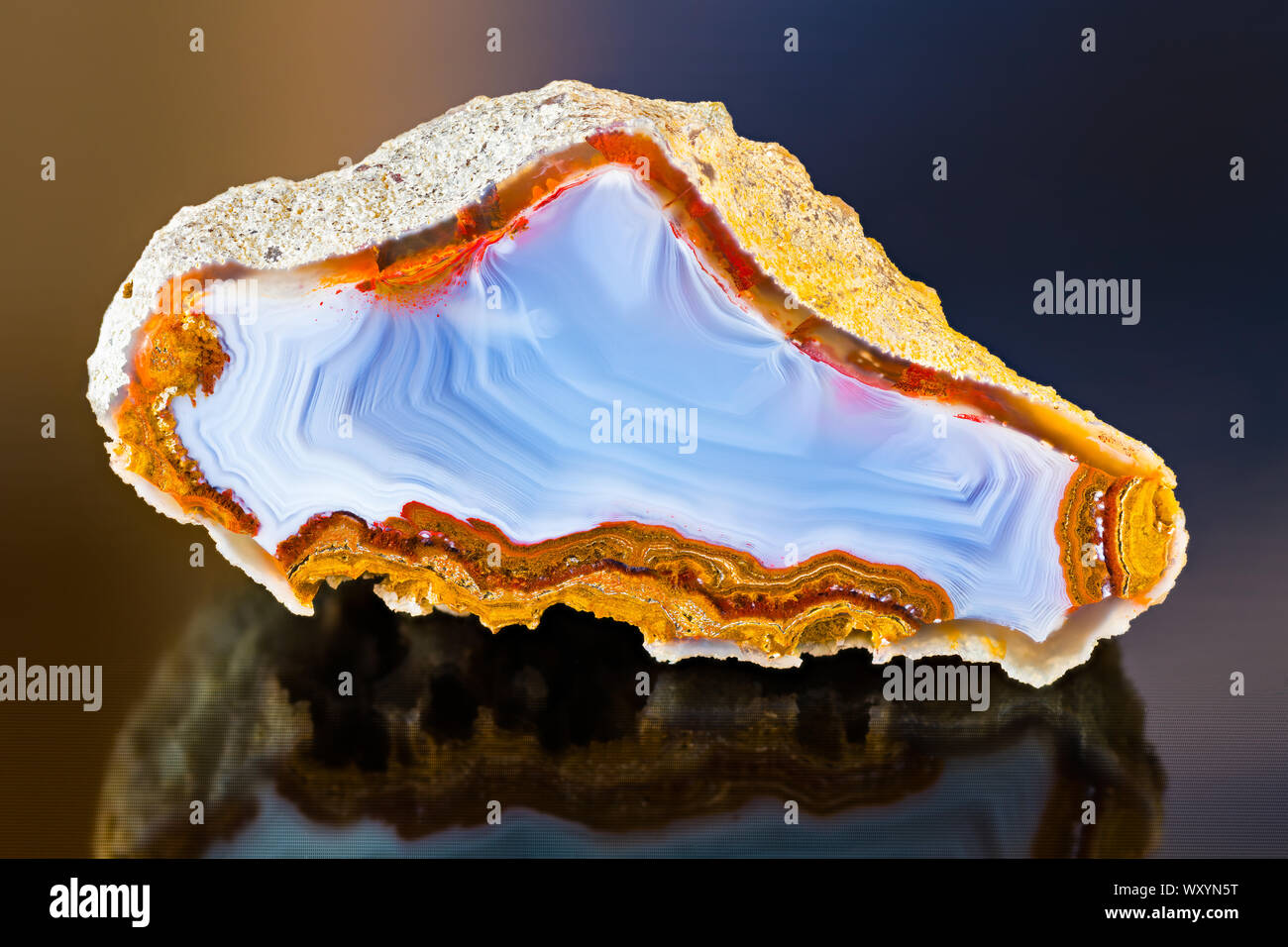 Sección transversal de ágata pulida detalle con reflexión sobre fondo oscuro brillante. Rayas blanco-azul de textura de piedra cortada con áspero borde marrón óxido. Foto de stock