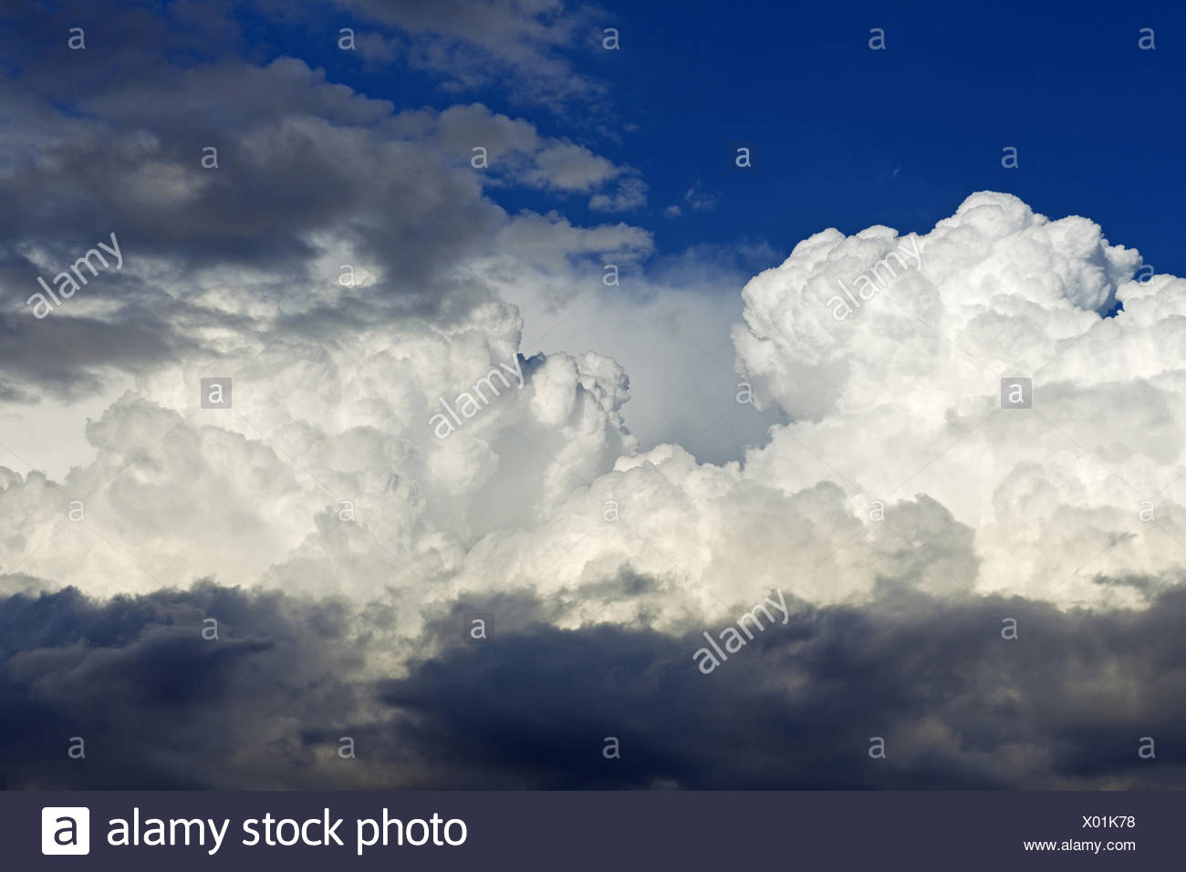 Las nubes cúmulos, Alemania Baden-Wurtemberg Foto de stock