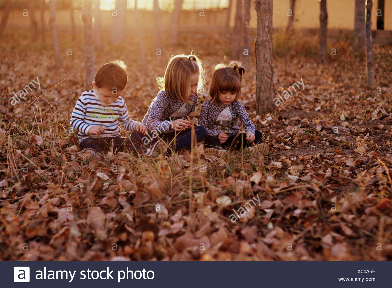 Tres niños sentados en el bosque jugando con las hojas de otoño Foto de stock