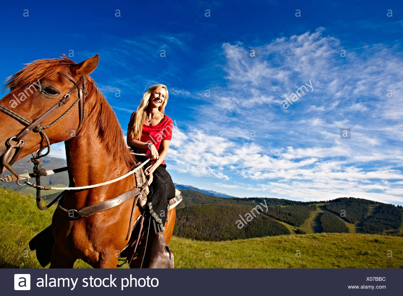 Cabalgatas de verano. Foto de stock