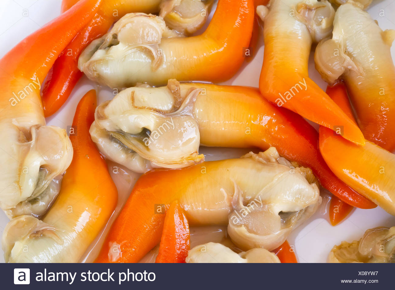 Alimentos, alimentos, aislado, moluscos, shell, cocina, cocina, hervir, cocineros, Foto de stock