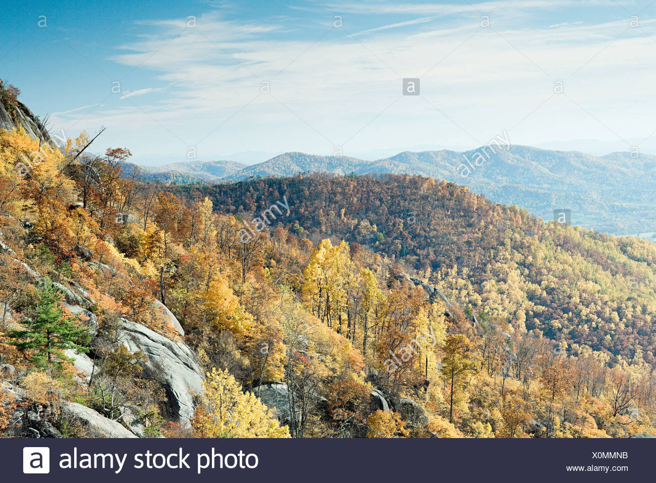 Bosque De Virginia Fotos e Imágenes de stock - Alamy