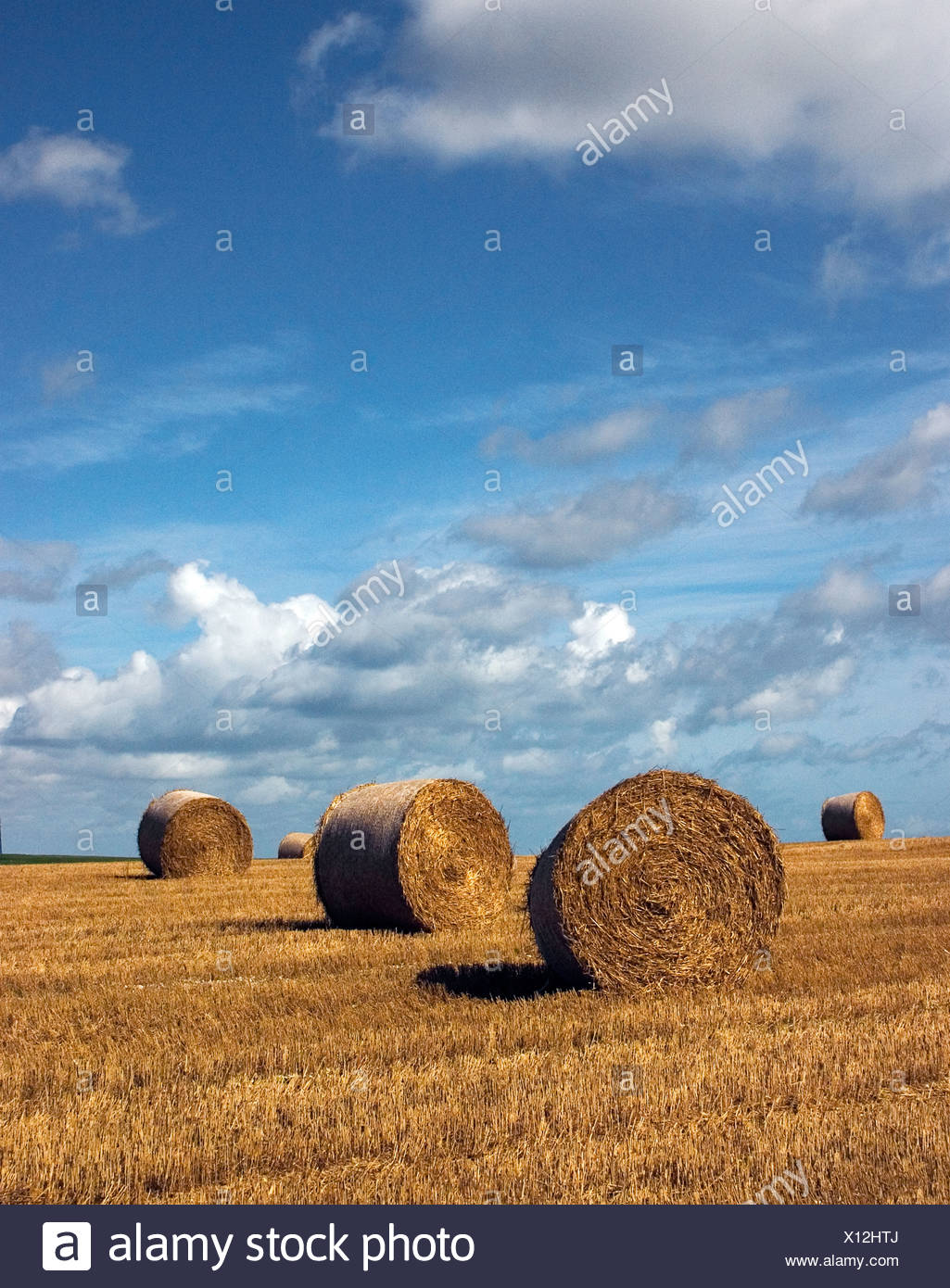 Paisaje Clasico Ingles Con Fardos De Heno Paja Cosechada Fotografia De Stock Alamy