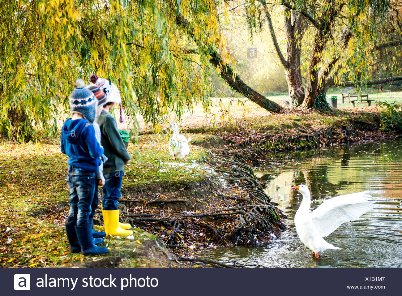 Tres jóvenes, de pie al lado del lago, viendo goose en agua Foto de stock