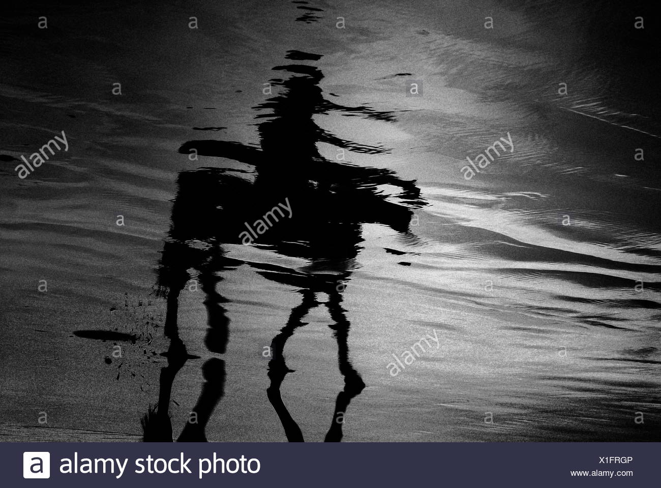 La reflexión de la persona en el montar a caballo en la playa Foto de stock