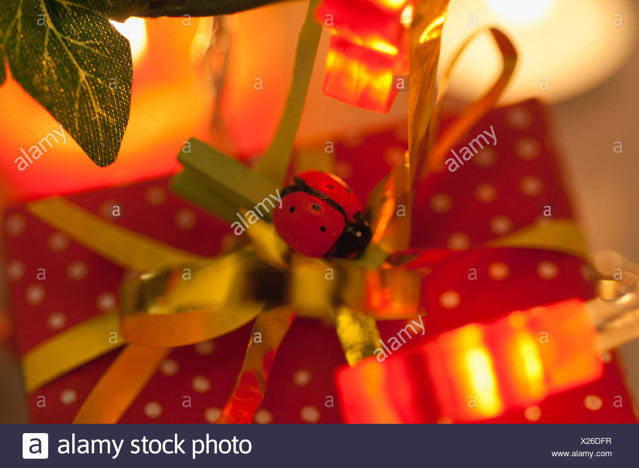 Regalo de navidad decorado con mariquita Foto de stock