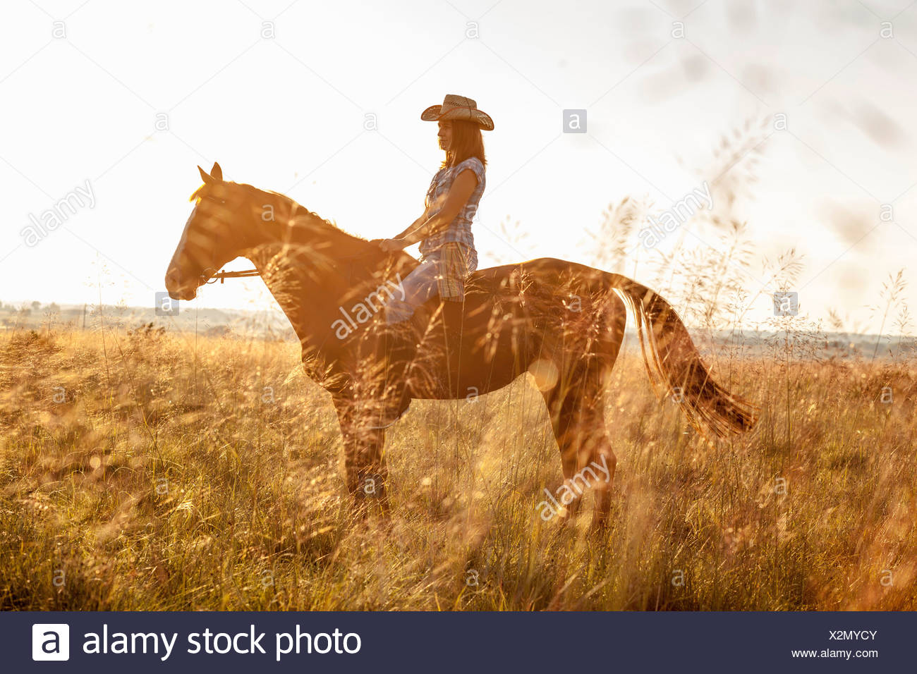 Croacia, Dalmacia, joven cabalgatas Foto de stock