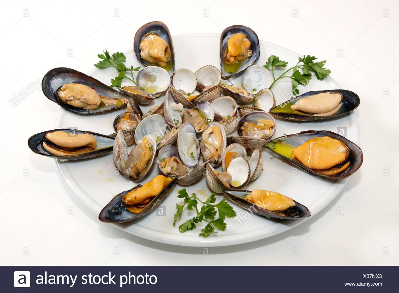 Berberechos y mejillones, Café Iacobus, Santiago de Compostela, A Coruña, Galicia, España España Foto de stock
