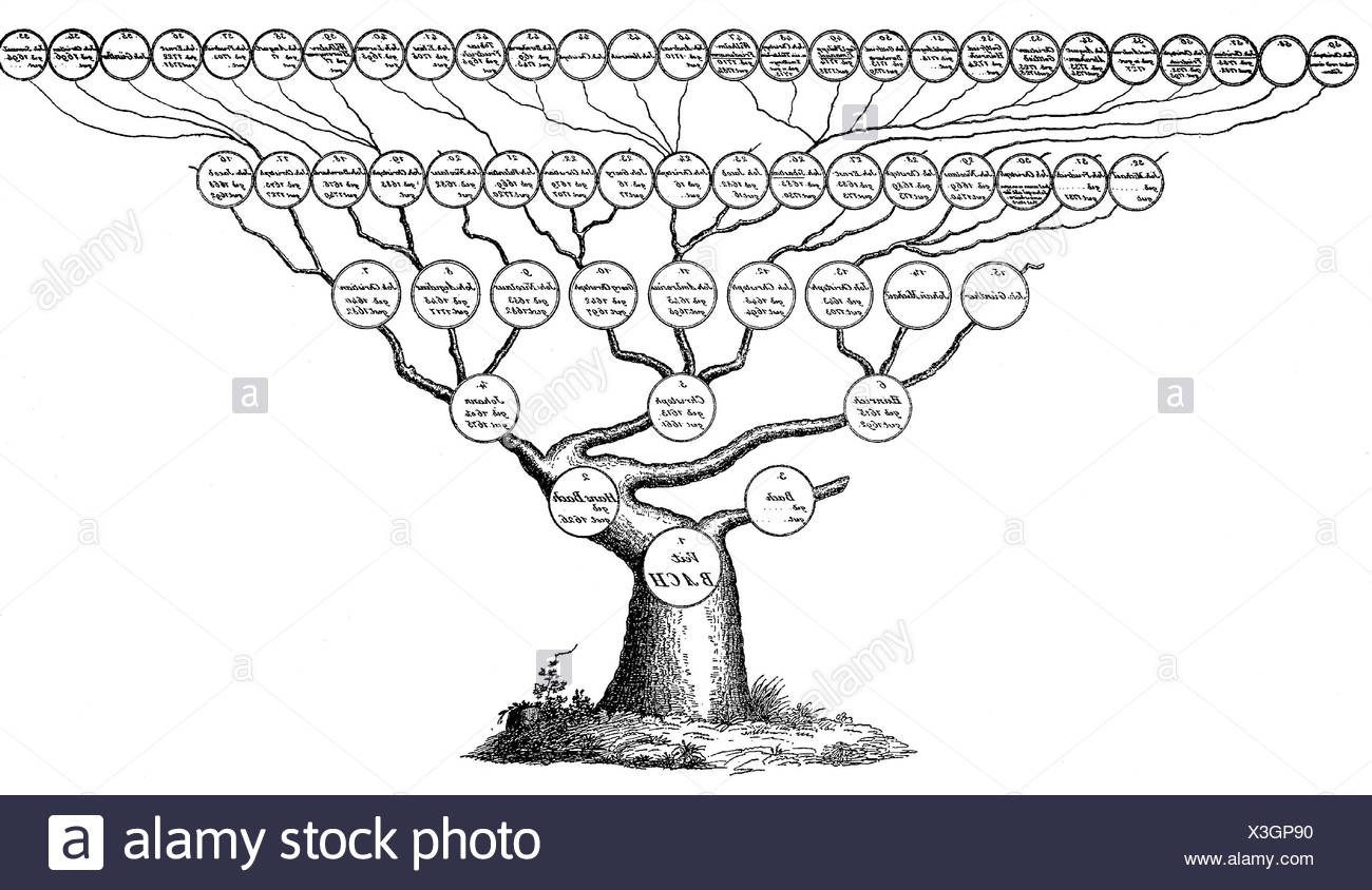 Bach Family Fotos e Imágenes de stock - Alamy