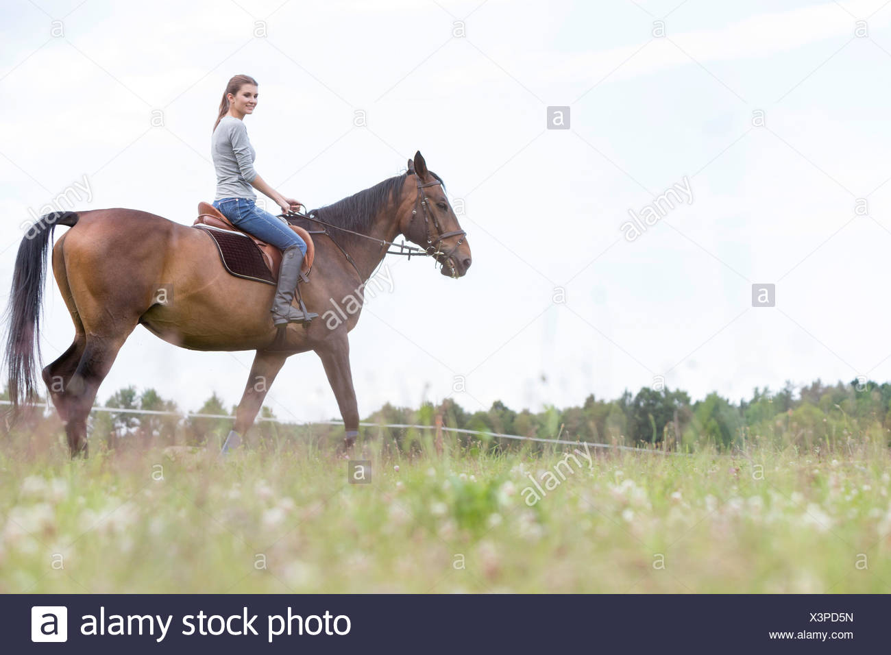 Mujer cabalgatas en ámbito rural Foto de stock