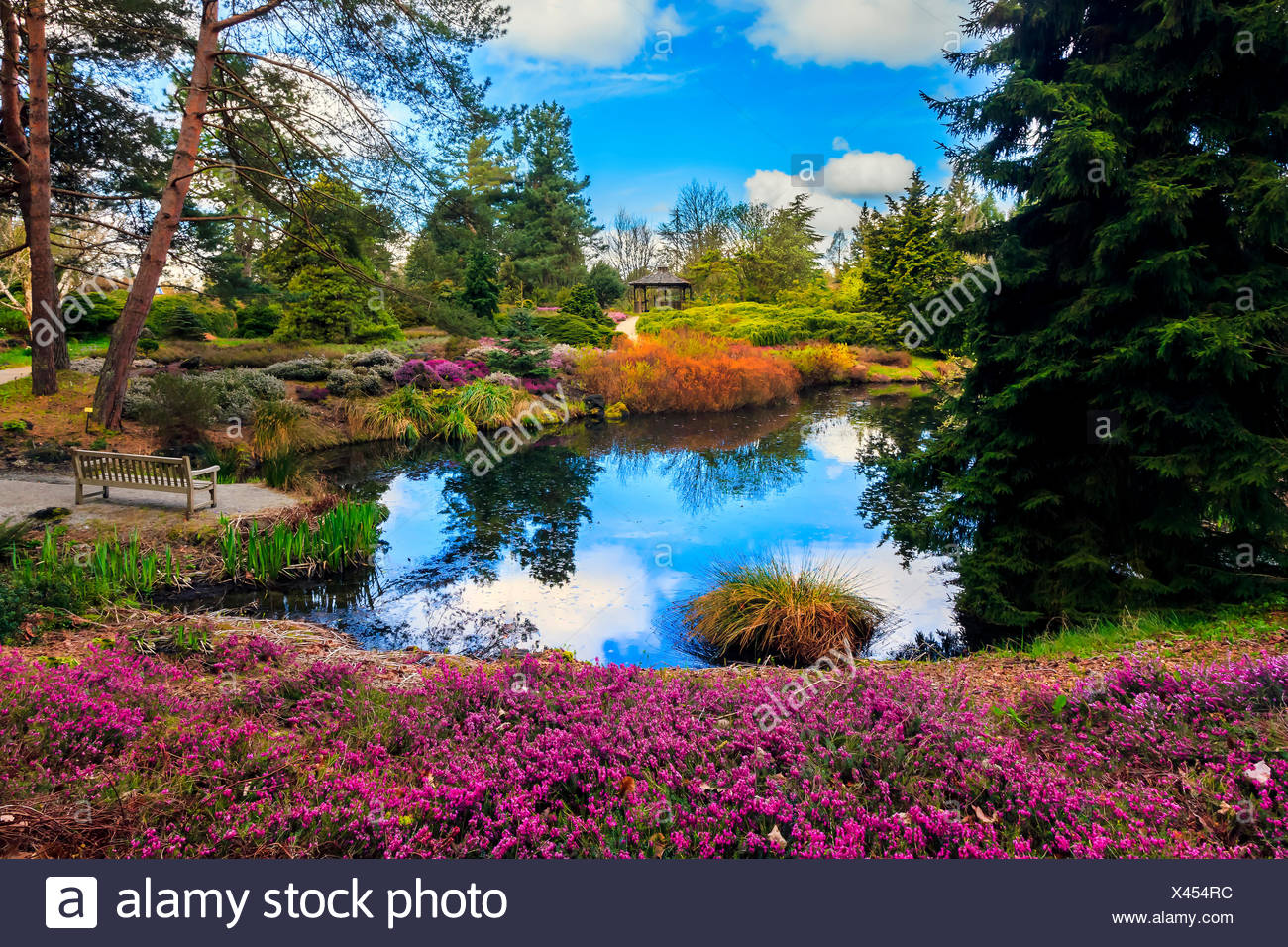 Canada Columbia Britanica Jardines Japoneses Banqueta Estanque Blue Sky Reflexion Jardines Flores Flores Rosas Arboles Fotografia De Stock Alamy