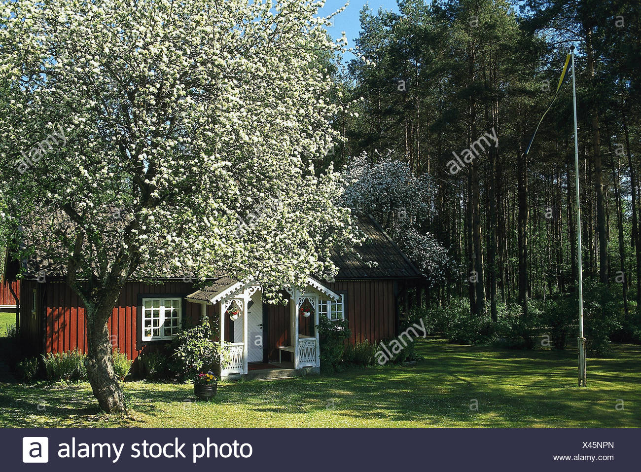Los suecos, Västergötland, muelle, madera, casa residencial en Escandinavia, la naturaleza, el descanso, el silencio, la casa, árbol, flor, casa, casa de madera Foto de stock