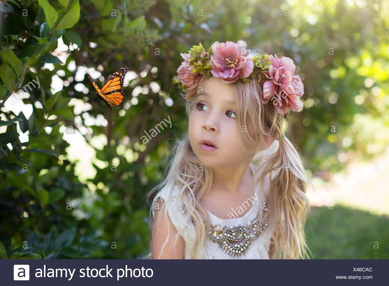 Niña mirando una mariposa, California, EE.UU Foto de stock