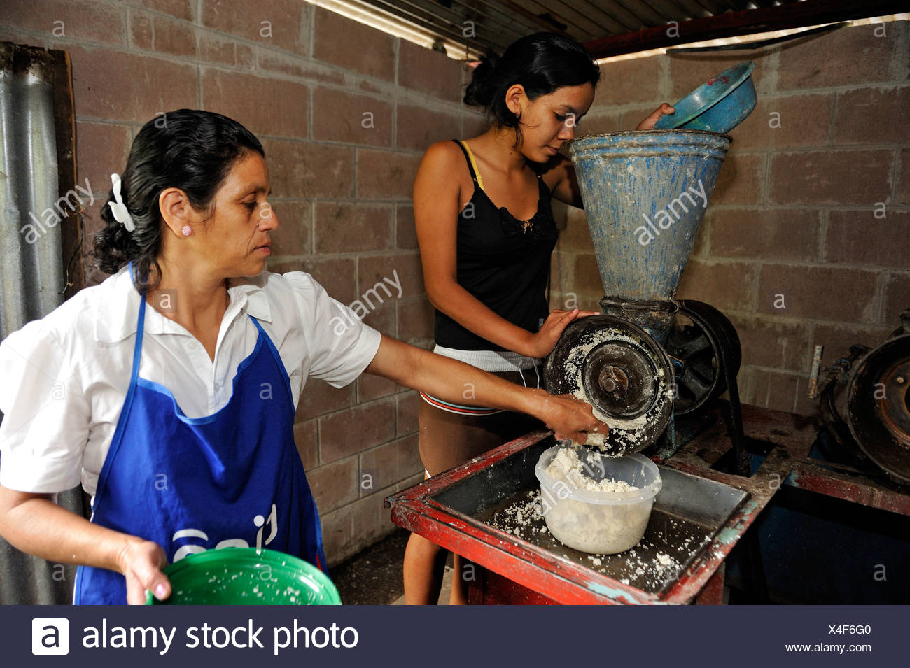 El maíz es molido para preparar una tortilla tradicional, la comunidad