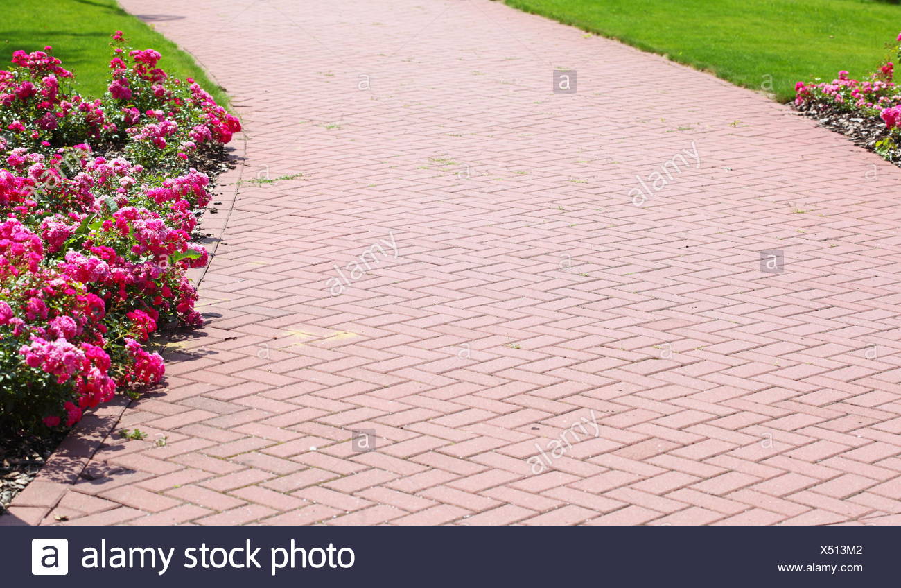 Camino de piedra de jardín con césped y flores alrededor de 