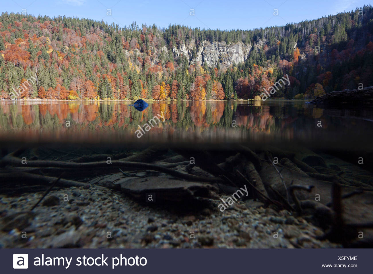 Over-under shot del Lago Feldsee en la Selva Negra, Baden-Wurttemberg Foto de stock
