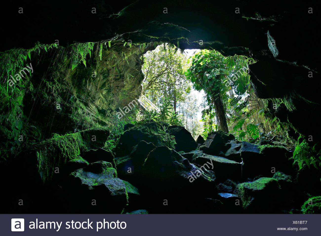 Las cuevas de lava Kaumana, Hilo, Big Island, Hawai'i, Hawaii, EE.UU. Foto de stock