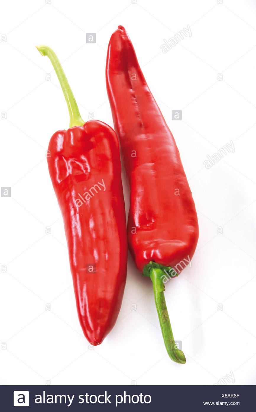 Remolcar grandes ají rojo (Capsicum) Foto de stock