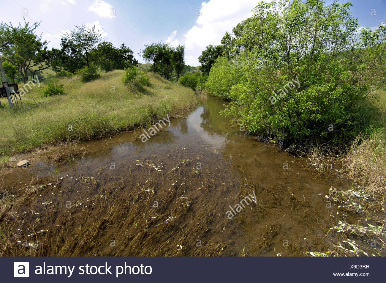 Cuele el agua procedente del depósito para riego en Ralegan Siddhi cerca de Pune ; ; Maharashtra India Foto de stock