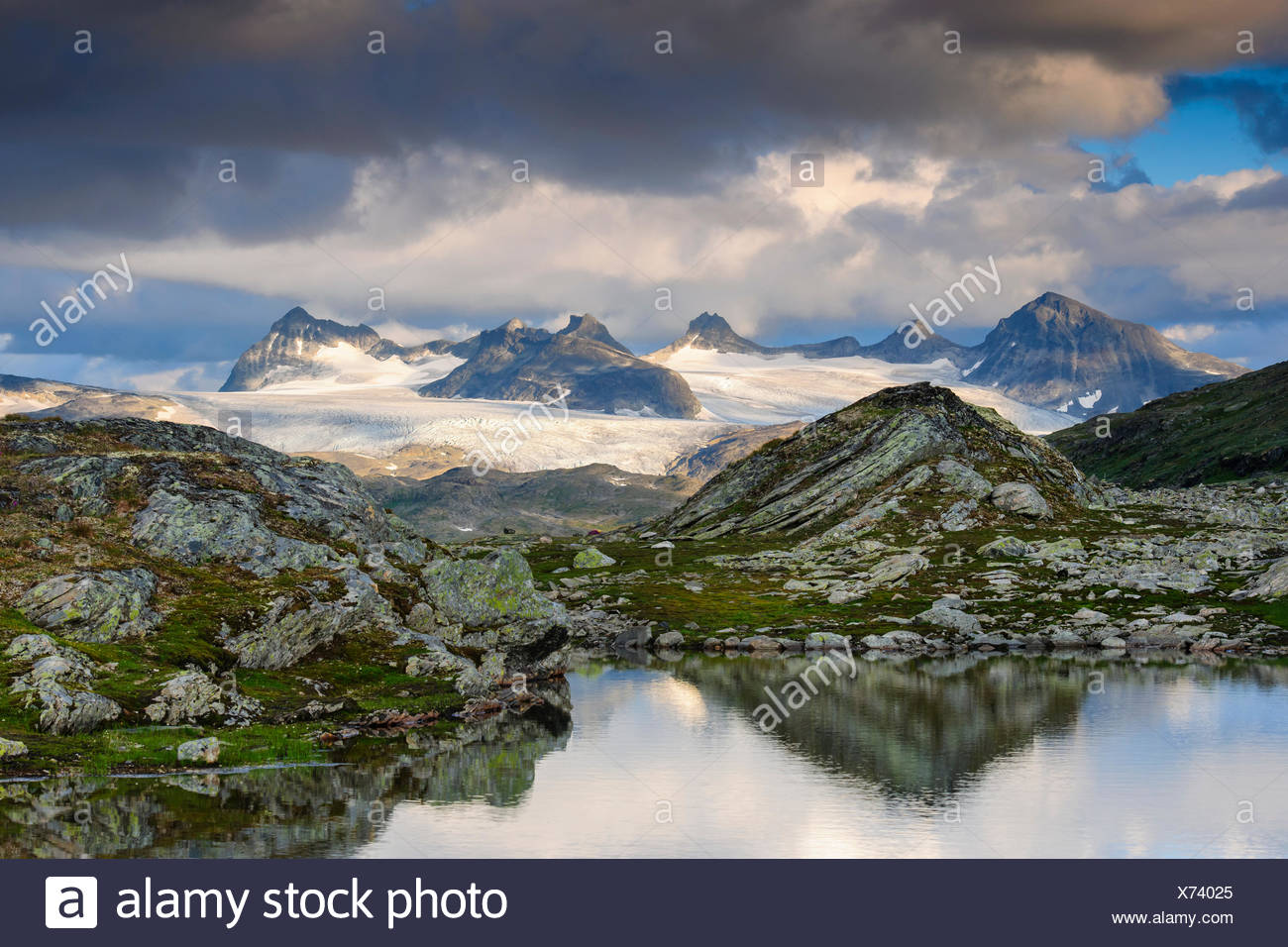 Berg, Fjell, Parque Nacional Jotunheimen, Oppland, Norwegen Foto de stock