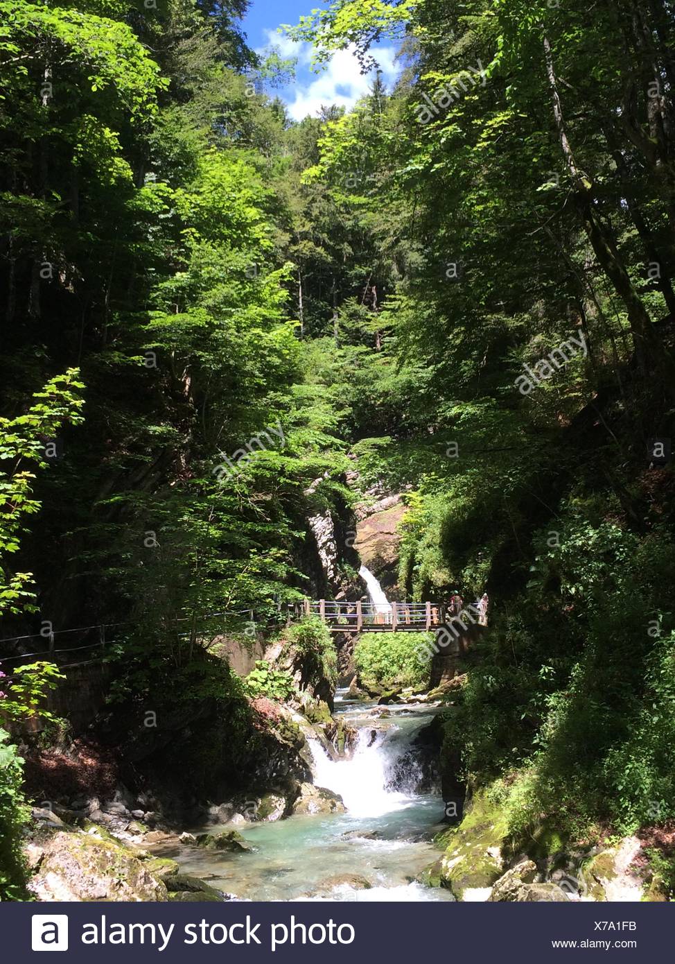 Thur cascadas, Unterwasser, Suiza Foto de stock