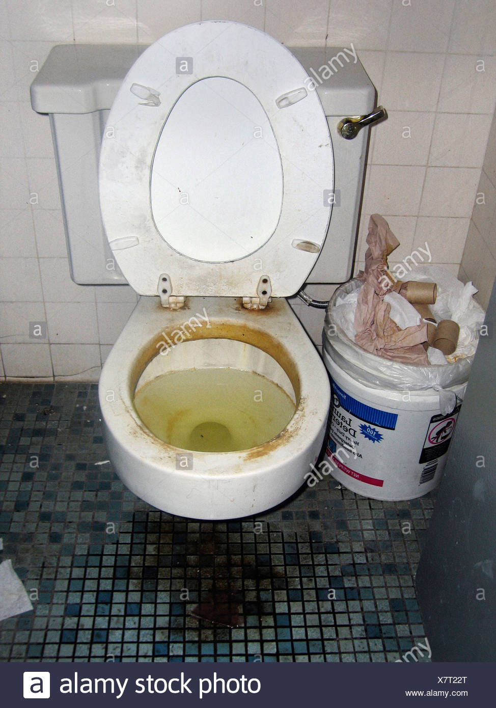 Filthy Toilet Imagenes De Stock Filthy Toilet Fotos De Stock Alamy