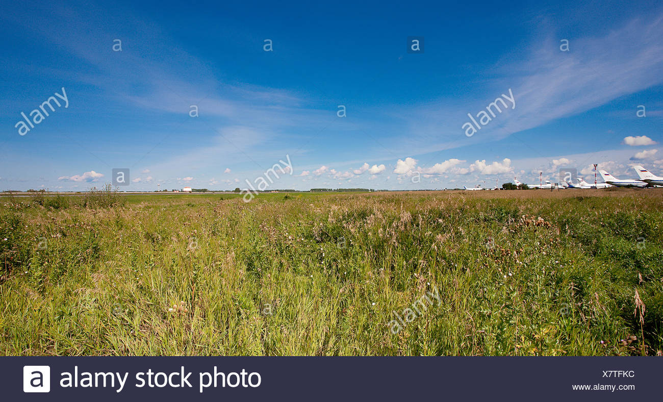 Paisaje de verano Foto de stock