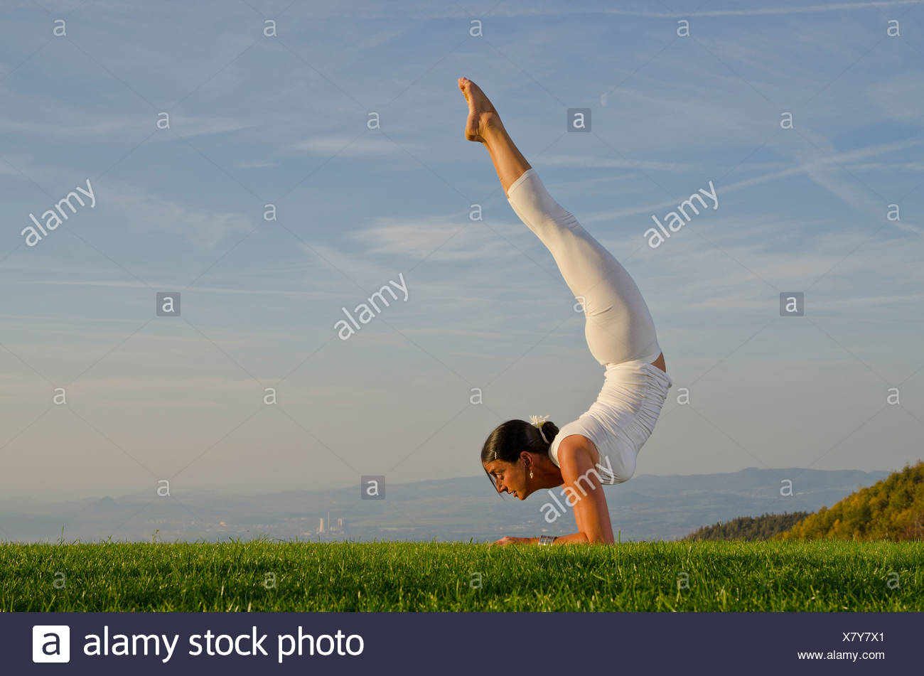 Hatha Yoga Scorpion Pose Hatha Yoga Scorpion Pose