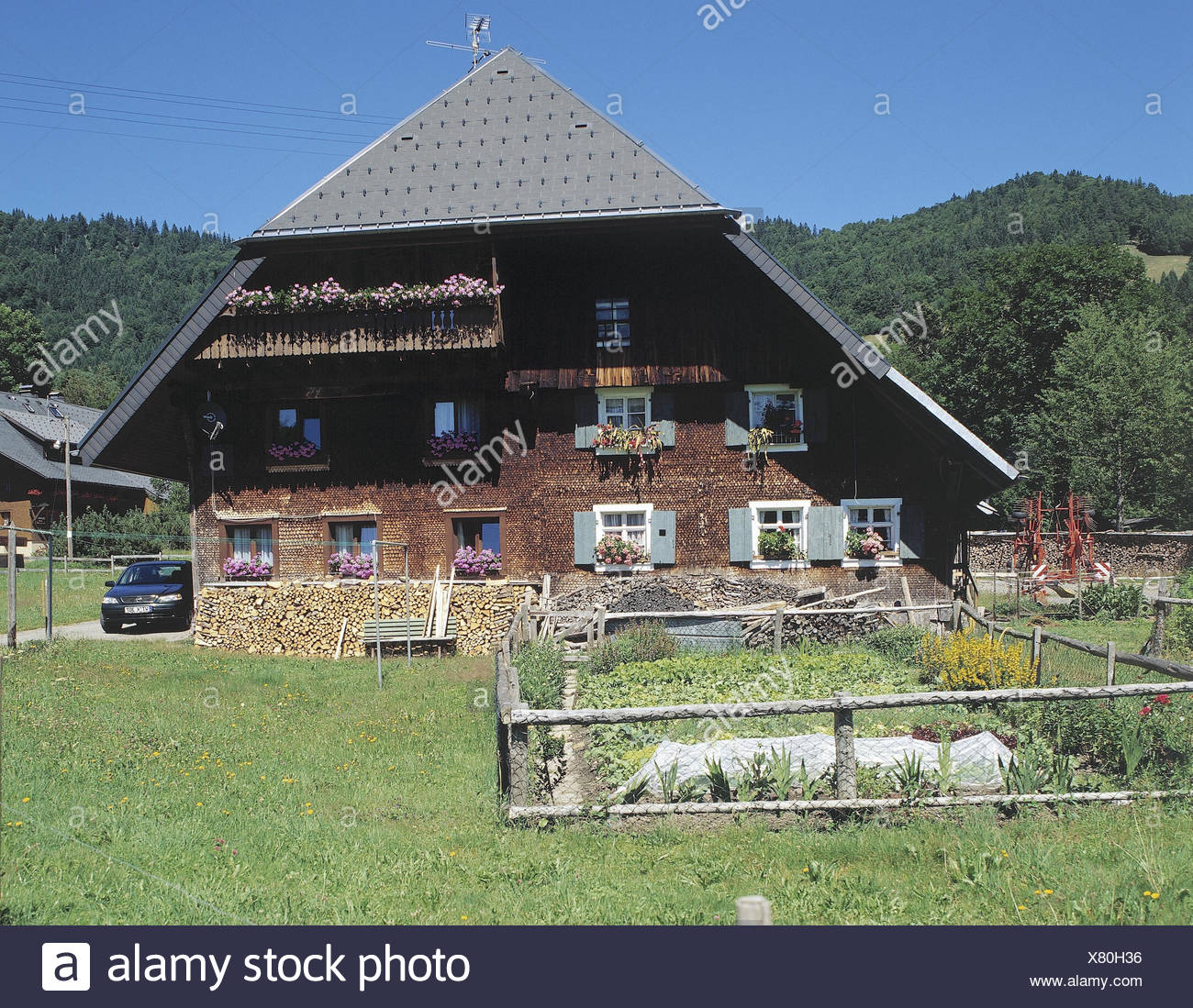 Las 10 mejores casas de campo de Selva Negra - Fincas y agroturismos en Selva Negra, Alemania