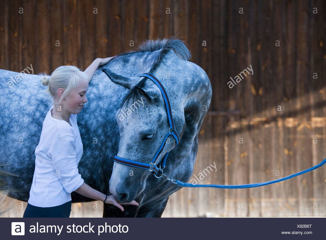 Retrato de joven la celebración de caballo blanco Foto de stock