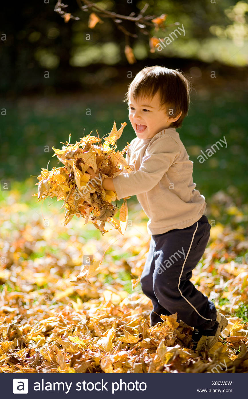 22 meses eurasion niño jugando en un montón de otoño las hojas de otoño, Montreal, Quebec, Canadá. Foto de stock