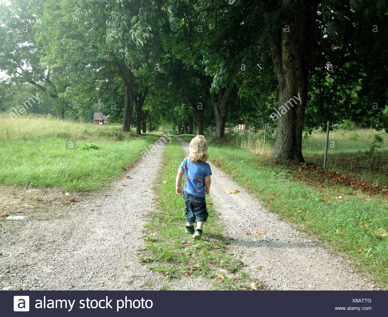 Muchacho caminando a lo largo de country road, Suecia Foto de stock