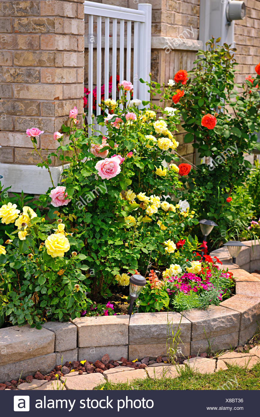 https www alamy es la piedra natural el paisajismo en el jardin de rosas de la casa image280543514 html