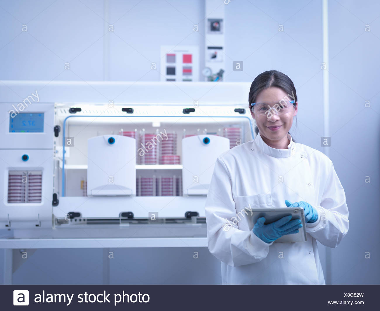 Retrato de científico con cultivos bacterianos dentro de estaciones de trabajo de laboratorio Foto de stock